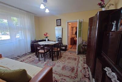 Apartament 2 camere, 45 mp, parter - Orasul Nou, Brad - 3