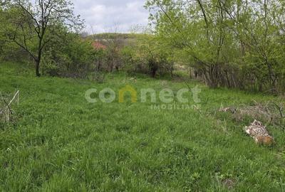 De vânzare teren superb în Ciurila ~ 5000 mp de liniște, verdeață și potențial - 7