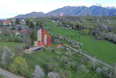 2  A-Frame | Bran Sohodol| 2 cabane | Teren 3.812 mp | Operațional | - 19