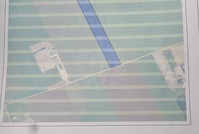 TEREN EXTRAVILAN//ZONA BAUELEMENT//ARICESTII RAHTIVANI - 1