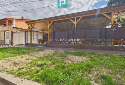 Casă + afacere activă | Venit 1100€/lună - 1