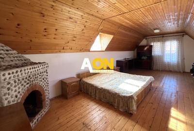 Casa de vanzare pretabila 2 familii, garaj, livada, comuna Pianu - 30
