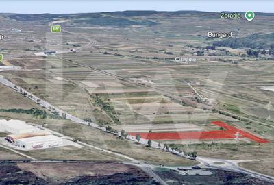 De Vanzare Terenuri 16.232 mp - Zona industriala Selimbar - 6