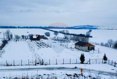 Teren intravilan 9.574 mp în Săliște, poziție strategică, ideal invest - 1