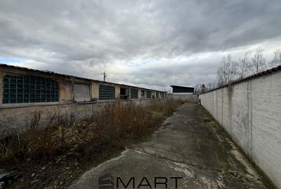 Hală industrială în Prejmer – 2000 mp + curte 2300 mp - 5