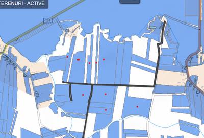 Teren arabil 19,87 ha — Tileagd, Bihor - 4
