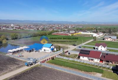 Teren 2063 mp intravilan Podoleni - judet Neamt - 6