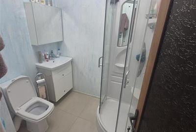 Vila, P+M Brailita, 3 camere, teren 271 mp, mobilata si utilata - 8