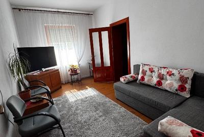 Casa în Felnac renovată și utilată - 4