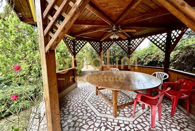VILA 5 CAMERE CU PISCINA/TEREN 2650MP/CASA PERSONAL/GARAJ/SNAGOV-CIOFLICENI/ - 48
