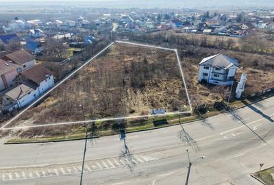 Teren 4,818 mp la strada principala in Gheraiesti Bacau - 1