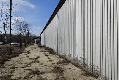 Vanzare amplasament industrial-servicii Tatarasti, Teleorman - 17