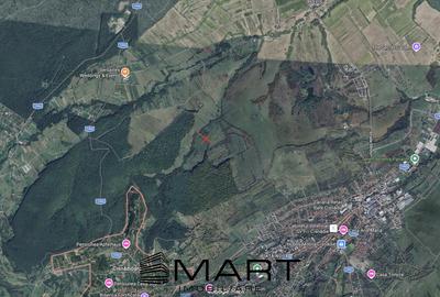 Teren extravilan agricol + fanata 21000mp Cisnadie - 1