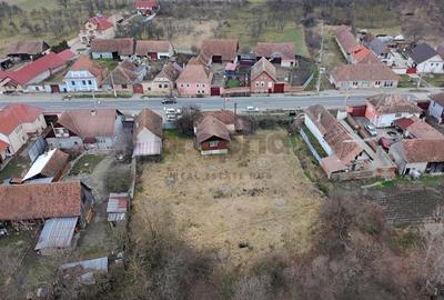 2 CASE + TEREN GENEROS 1885 MP - LA DOAR 7 KM DE VISCRI - PATRIMONIU UNESCO - 19