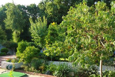 Vila piscina superba gradina matura cu iesire directa la padure - 30