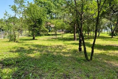 Casa cu teren 2105 m2 Campina, zona rezidentiala - 1