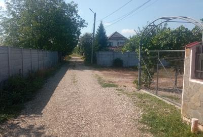 Teren 100Omp, Clinceni, Str Rozelor - 7