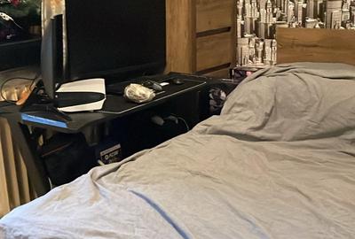 Colentina Teiul Doamnei - 1