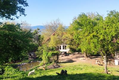 Casă în locație exclusivă, cu vedere spectaculoasă la Dunăre și 6 hectare - 10