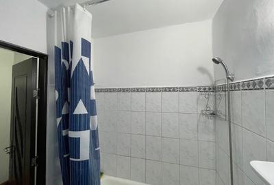 Apartament 2 camere decomandat – Bacau, Mioriței, etaj 4 cu șarpantă - 10