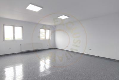 Inchiriere Spatii de Birouri/Productie - Str. Uzinei - Carei - Comision 0% - 14
