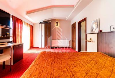 Vila cu 7 camere, curte proprie, loc de parcare, Dumbravita - 4