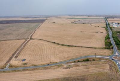 Teren DN6 sens giratoriu Dudeștii Noi - 8