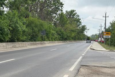 Terenul dintre 2 lacuri – 1000 mp în Mogoșoaia, la 5 minute de pădure - 5