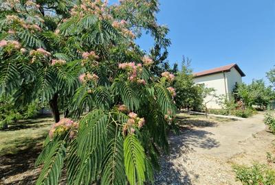 CASA P +E , 5 camere -Cosoveni - 4