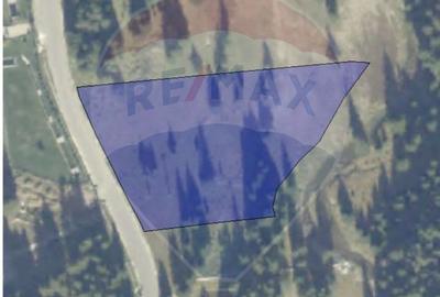 Teren de vanzare - 5000 mp - Peștera Padina - 8