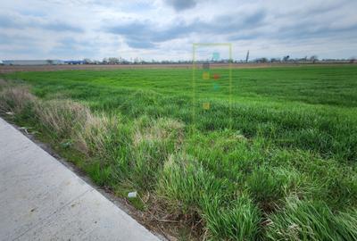 Teren intre SAG si Timisoara, langa depozit Profi - 1