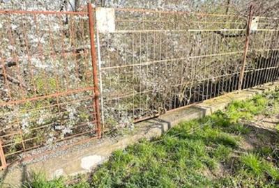 LAPUSEL, teren intravilan cu proiect casa  si teren de aprox,10ari! - 4