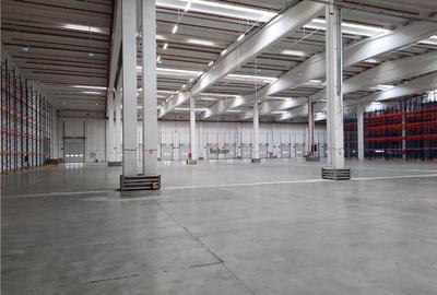 Spatiu Industrial - 3000 mp - Logistica - Productie - Depozitare - Distributie - 6