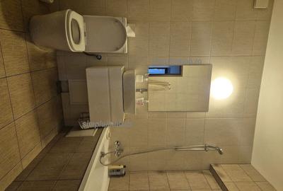 Decomandat 2 Camere Etaj 1 Brancoveanu Parc Tineretului - 9