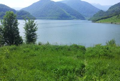 Teren unicat 73000 mp baraj Siriu - 7