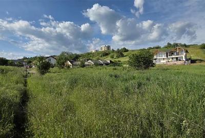 Teren 800 mp intravilan de vanzare Valea Voievozilor - 7