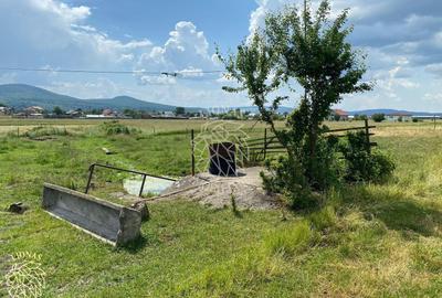 Teren 7200 mp-parcelabil-investitie-Sieu Magherus la 16 km de Bistrita - 4