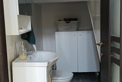 Duplex de vanzare zona Terra - 10