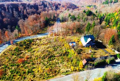 DE VANZARE Cabana-DN Baia Mare–Sighet cu 29AR - 3