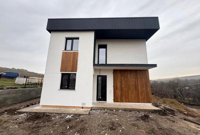 Case individuale Iasi-Vanatori - 1