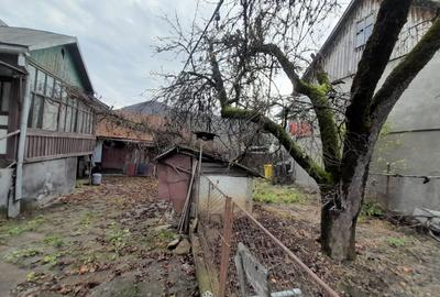 Casa traditionala cu anexe si gradina,Zona Nasaud - 11