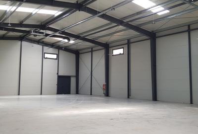 Spatiu depozitare si productie soseaua de centura Mogosoaia - 7