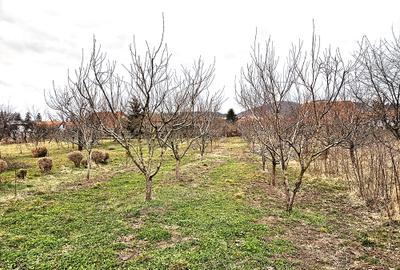 OPORTUNITATE! Casă ultracentrală Sânpetru + teren 1167 mp | Lângă biserică - 19