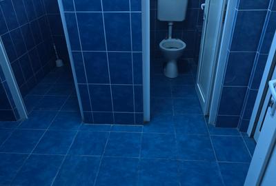 Inchiriez spatiu comercial in Deva, zona Avram Iancu (fostul Punct Termic), - 9