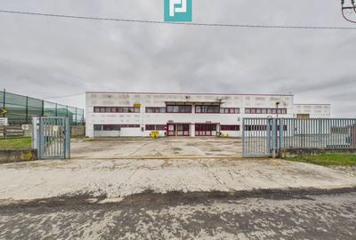 Hală de producție, cu birouri și teren, în Sebiș - 2