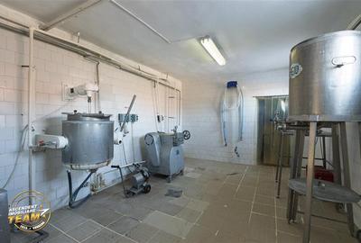 Fabrica de produse lactate+ birouri + 1.300mp teren, Ilieni, Covasna - 19