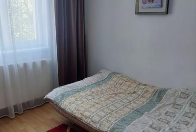 Casa de vanzare Izvoru Muntelui (Judetul NEAMT) - 23