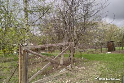 Teren constructii , drum de acces, Salicea - 2