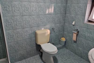 Vând vilă în Timișoara, multifuncțională - 11