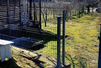 Seimenii Mari Casa 5 camere S.teren:4260 +vie+pomi fructiferi  vedere la Dunare - 7